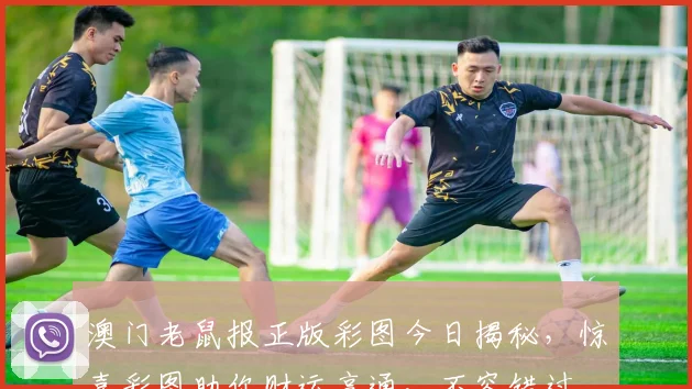 澳门老鼠报正版彩图今日揭秘，惊喜彩图助你财运亨通，不容错过