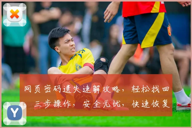 网页密码遗失速解攻略，轻松找回，三步操作，安全无忧，快速恢复登录