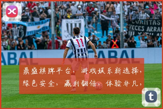 鼎盛棋牌平台，游戏娱乐新选择，绿色安全，赢利翻倍，体验非凡，三重福利，不容错过