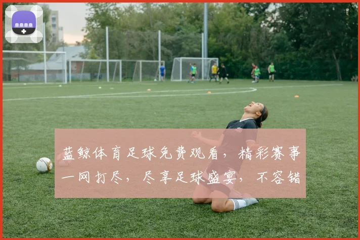 蓝鲸体育足球免费观看，精彩赛事一网打尽，尽享足球盛宴，不容错过，惊喜不断